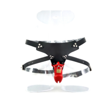 Silicone Chastity Belt & Cage
