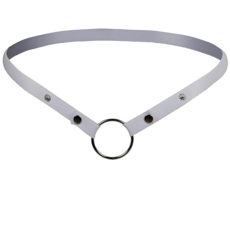 Chastity Cage Security Belt