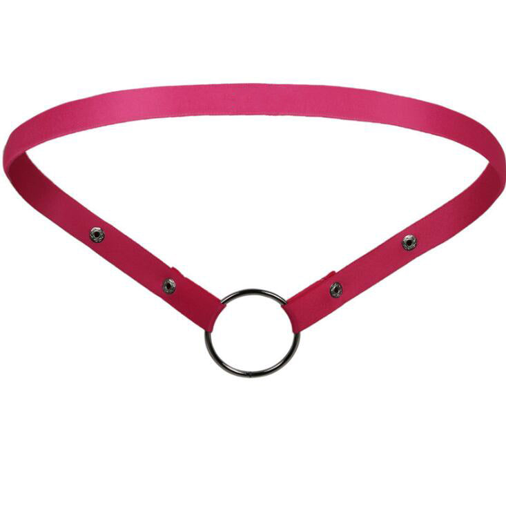 Chastity Cage Security Belt